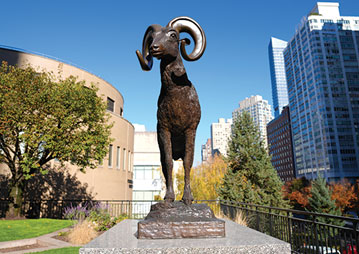 A ram statue. Links to Donor-Advised Funds