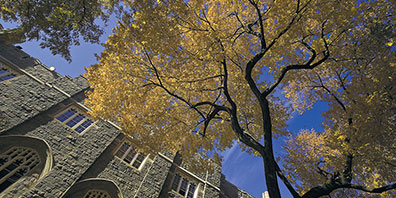 Use Charitable Giving’s “Superpower” to Guide Your Year-End Planning