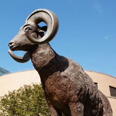 Learn More About Fordham